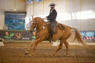 Papa Triog auf der Equitana 2016