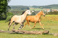 Pas de deux