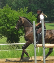 Galopp