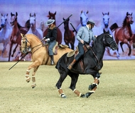 Trigo Equitana2015