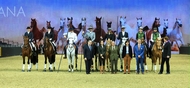 Trigo Equitana 2015